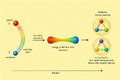 Thumbnail for version as of 15:09, 13 May 2026