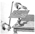 Thumbnail for version as of 15:09, 13 May 2026