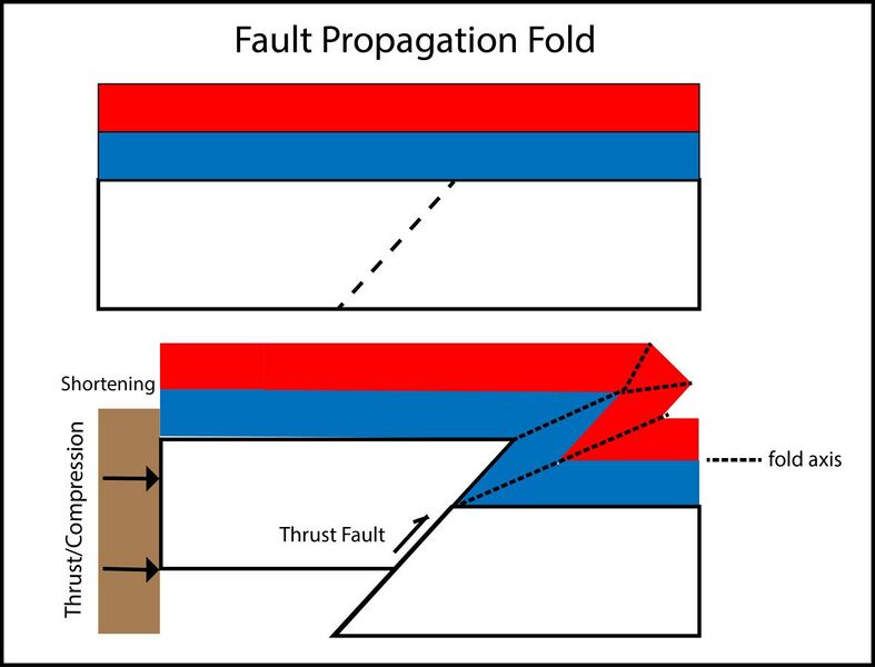 File:Forced fold new-01.jpg