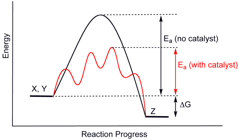 File:CatalysisScheme.png