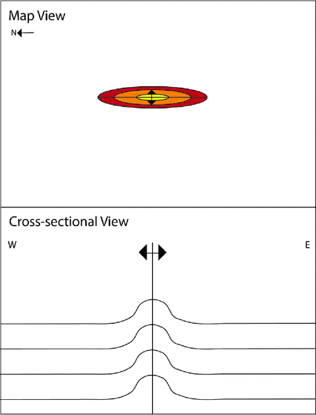 File:Map and cxn view growth.gif