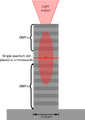 Thumbnail for version as of 15:09, 13 May 2026