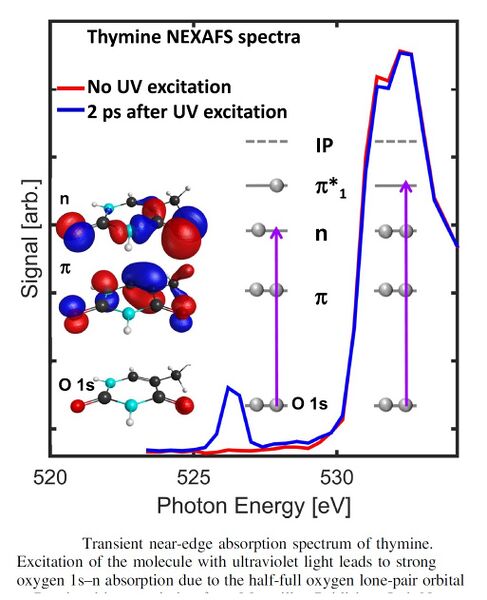 File:Transient near edge absorption.jpg