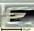 Thumbnail for version as of 15:09, 13 May 2026