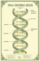 Thumbnail for version as of 15:09, 13 May 2026