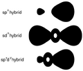 Thumbnail for version as of 15:18, 13 May 2026