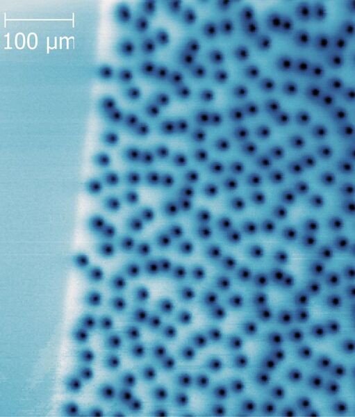 File:YBCO vortices.jpg