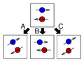 Thumbnail for version as of 15:18, 13 May 2026