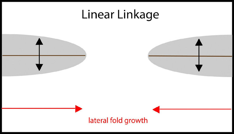 File:Linear fold linkage.gif