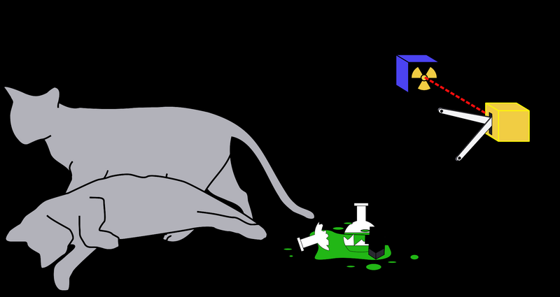 File:Schrodingers cat.svg