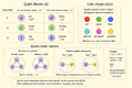 Thumbnail for version as of 15:09, 13 May 2026