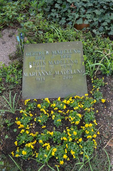 File:Biography Erwin Madelung.jpg