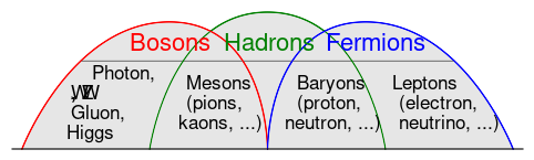File:Bosons-Hadrons-Fermions-RGB.svg