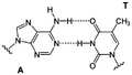 Thumbnail for version as of 15:18, 13 May 2026