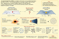 Thumbnail for version as of 15:09, 13 May 2026