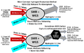 Thumbnail for version as of 15:09, 13 May 2026