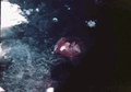 Thumbnail for version as of 22:32, 14 May 2026