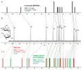 Thumbnail for version as of 15:09, 13 May 2026